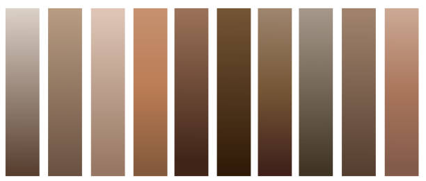 Chemodashki.ru | Какие цвета сочетаются с коричневым в одежде для женщин